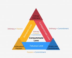 Triangular Theory of Love developed by Robert Sternberg to show the three components of love